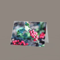 Festive Christmas Holly cards