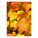 Festive Fall Colors Card
