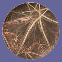 Festive fractal straw stars plates