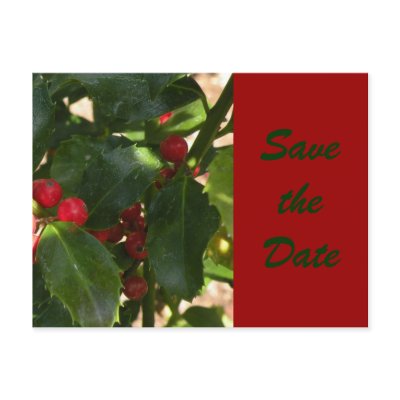Festive Holly Save the Date Postcard