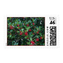 Festive postage by erin_kathleen Festive postage