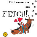 FETCH! Dog Shirt petshirt