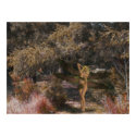 Fey In Woods posters by Guiltypleasures Fey In Woods posters