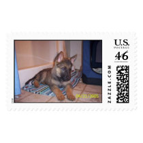 ffbf postage by lonleygirl_10 ffbf postage