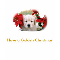 FH000009_2, Have a Golden Christmas t-shirts by TrevorTrent FH000009_2, Have a Golden Christmas t-shirts