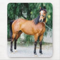 Fibonacci mousepads by UnitedPegasus Fibonacci mousepads