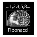Fibonacci posters