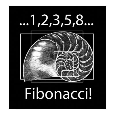 Fibonacci Posters by Ars_Brevis