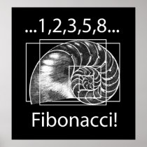 Fibonacci Posters