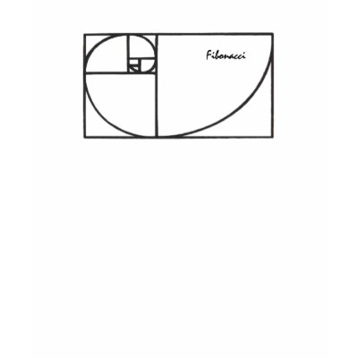 Fibonacci spiral tshirts by rhaynesong