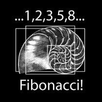 Fibonacci T Shirt