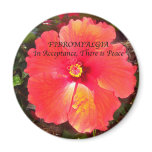 Fibro Acceptance Magnets