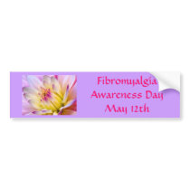 Fibromyalgia Awareness DayMay 12th bumper stickers