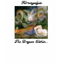"Fibromyalgia, The Dragon Within..." t-shirts