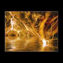 Fibrous Fantasy Postcard postcards