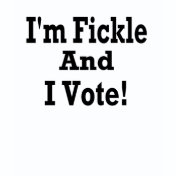 fickl shirt