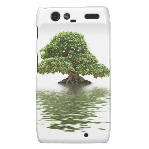 Ficus bonsai isolated droid RAZR cases