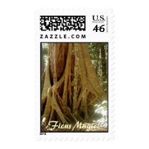 "Ficus Magic!" Stamps