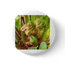 fiddlehead bunch buttons