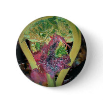 Fiddlehead buttons by nmpics Fiddlehead buttons