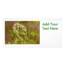 Fiddlehead Fern Heart Photo Photo Card