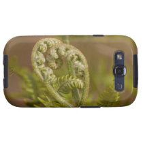Fiddlehead Fern Heart Photo casemate cases