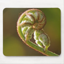 Fiddlehead Fern Mousepads