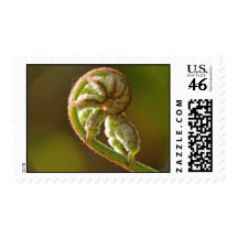 Fiddlehead Fern Postage Stamps