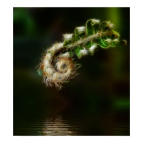 Fiddlehead Fern print