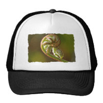 Fiddlehead Fern hats