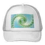 Fiddlehead - Fractal art Hat