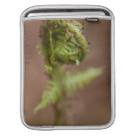 Fiddlehead Macro iPad Sleeves