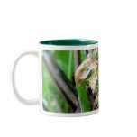 fiddlehead mug