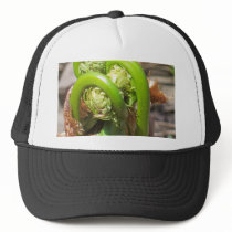 Fiddleheads hats