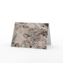 Fiddler Crab Greeting Card