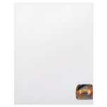 Fiddler Crab On Beach Colorized Orange letterhead