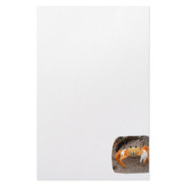 Fiddler Crab On Beach Colorized Orange Stationery