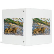 Fiddler crab on beach on sand vinyl binder