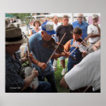 Fiddlin' in the Park Posters