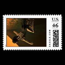 fidelis tripudio postage