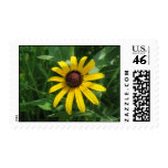 Field Flower Postage Stamp