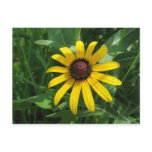 Field Flower Postcard Field Flower Postcard