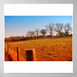 Field in a sunny afternoon posters