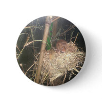 Field Mouse buttons