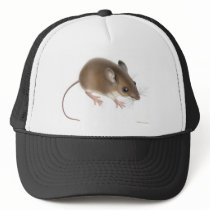 Field Mouse Hat