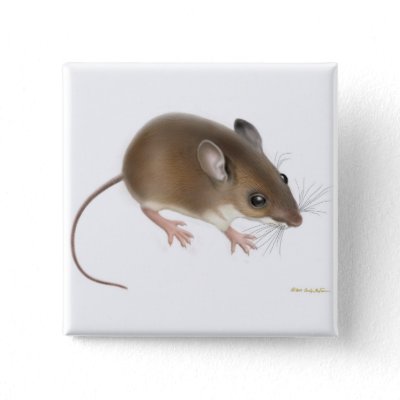 mouse pin