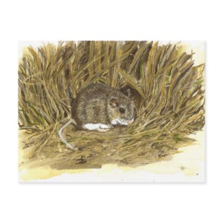 Field Mouse post card postcard