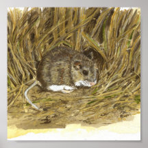 Field Mouse Poster