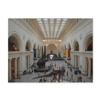 Field Museum Postcard
