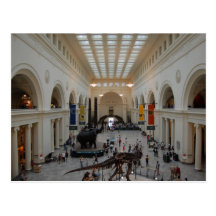 Field Museum Postcard